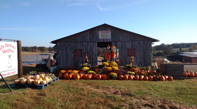 Pumpkin Patch Lincoln County Nc